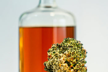 Alcohol vs. Marijuana: What’s Worse for Sperm Health? 
