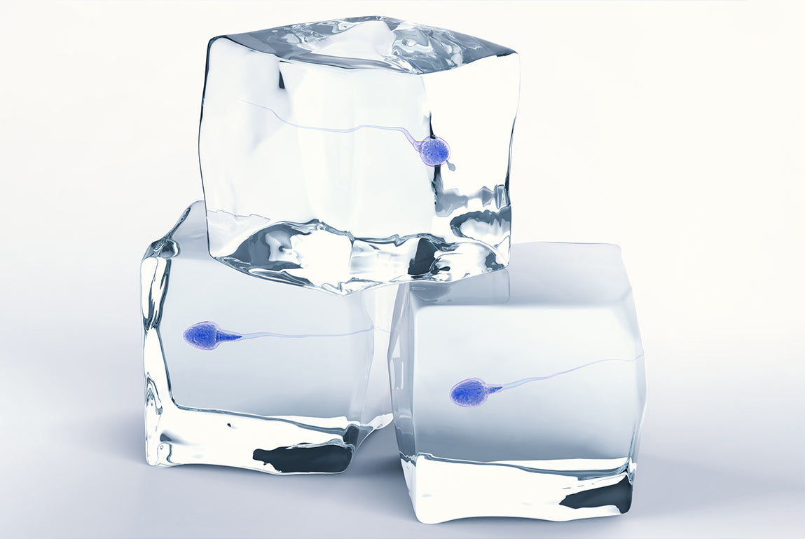 The Science and Importance of Sperm Freezing